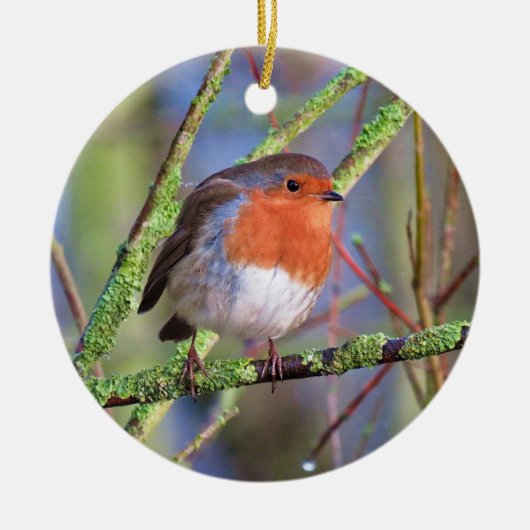 Robin Keramisch Ornament (Voorkant)