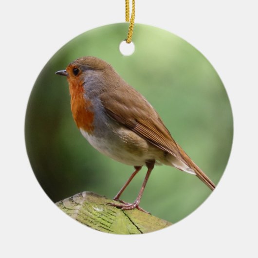 Robin keramische decoratie (Voorkant)