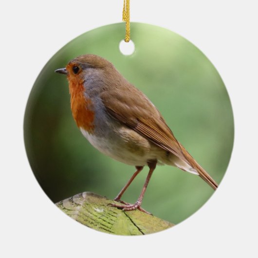 Robin keramische decoratie (Achterkant)