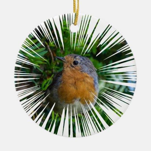 Robin Kerstboom ornament (Voorkant)
