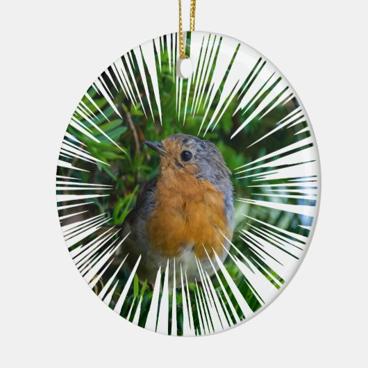 Robin Kerstboom ornament (Links)
