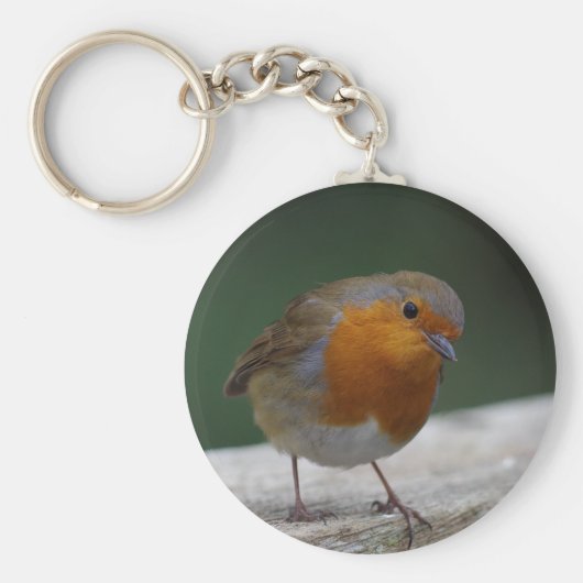 Robin Key Ring Sleutelhanger (Voorkant)