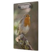 Robin Klembord (Links)