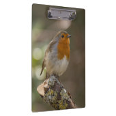 Robin Klembord (Rechts)