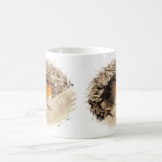 ROBIN KOFFIEMOK (Center)