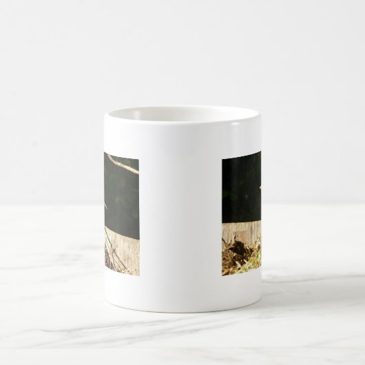 Robin Koffiemok (Center)