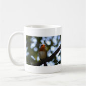 Robin Koffiemok (Links)