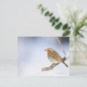 Robin kwam in de winter naar een tak toe briefkaart (Staand voorkant)