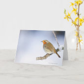 Robin kwam in de winter naar een tak toe kaart (Gele Bloem)