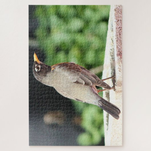 Robin Legpuzzel (Verticaal)