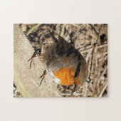 ROBIN LEGPUZZEL (Horizontaal)