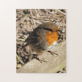 ROBIN LEGPUZZEL (Verticaal)