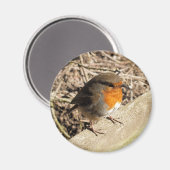 ROBIN MAGNEET (Voorkant / Achterkant)