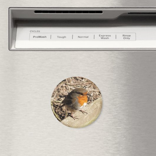 ROBIN MAGNEET (Insitu (Vaatwasser))