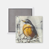 Robin Magneet (Voorkant / Achterkant)