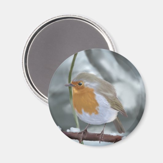 Robin magneet (Voorkant / Achterkant)