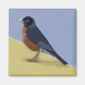 Robin Magneet