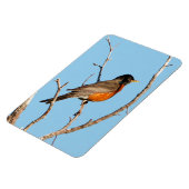 Robin Magneet (Linkerzijde)