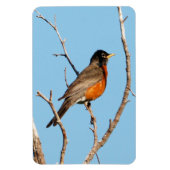 Robin Magneet (Verticaal)