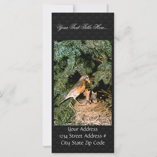 Robin met Chicks (Voorkant)