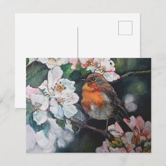 Robin met kersenbloesem briefkaart (Voorkant / Achterkant)