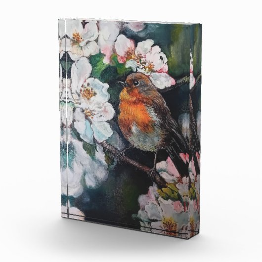 Robin met kersenbloesem fotoblokken (Rechts)
