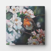 Robin met kersenbloesem fotoplaat (Voorkant)
