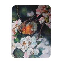 Robin met kersenbloesem