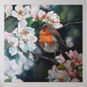 Robin met kersenbloesem poster (Voorkant)