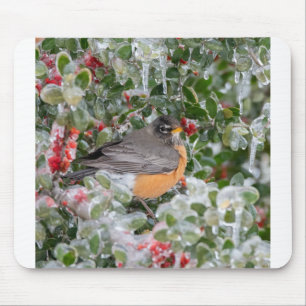 Robin met Kerstmis Muismat