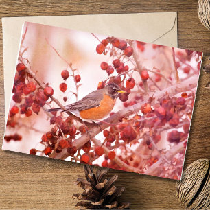 Robin met rode bessen briefkaarten