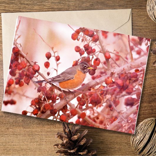 Robin met rode bessen briefkaarten