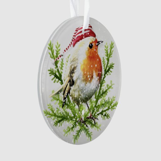 Robin met Santa Hat en Snow Ornament (voorkant)