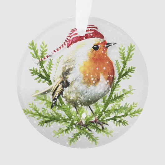 Robin met Santa Hat en Snow Ornament (voorkant)