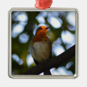 Robin Metalen Ornament (Voorkant)
