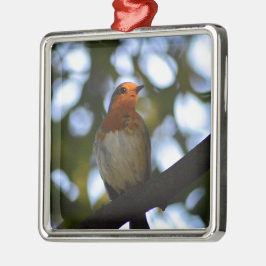 Robin Metalen Ornament (Links)