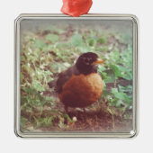 Robin Metalen Ornament (Voorkant)