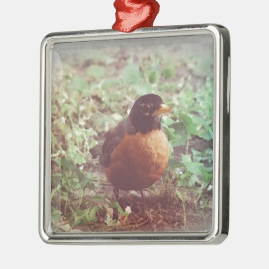 Robin Metalen Ornament (Links)