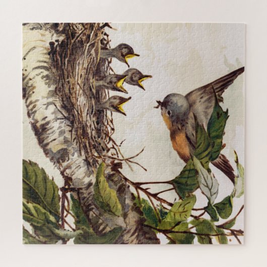 Robin moeder vogel voedt broed in het nest legpuzzel (Horizontaal)