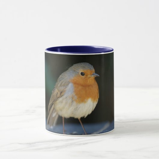 Robin Mok #2 (Midden)