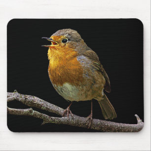 Robin Mousepad Muismat
