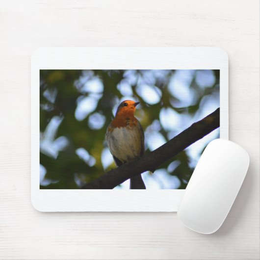 Robin Muismat (Met muis)