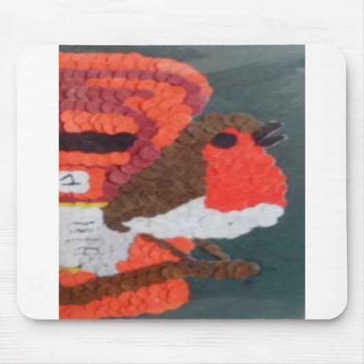 Robin Muismat (Voorkant)