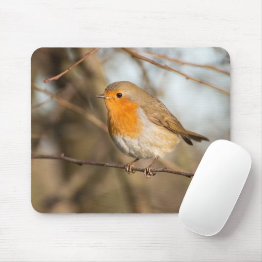 Robin Muismat (Met muis)