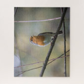 Robin Natuur Foto Jigzaag Puzzle Legpuzzel (Verticaal)