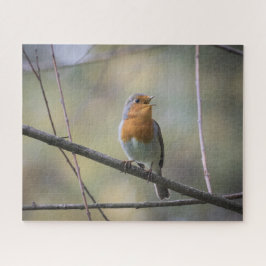 Robin Natuur Foto Jigzaag Puzzle Legpuzzel