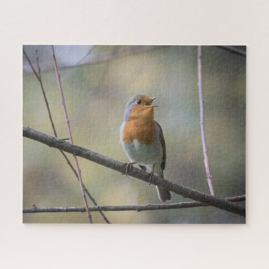 Robin Natuur Foto Jigzaag Puzzle Legpuzzel (Horizontaal)