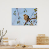 Robin Natuur Foto Poster (Keuken)