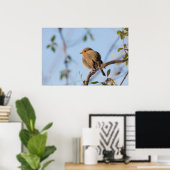 Robin Natuur Foto Poster (Thuiskantoor)