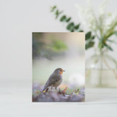 Robin Natuur Photo Briefkaart (Staand voorkant)